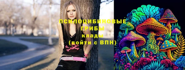 марки lsd Балахна